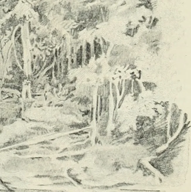 An illustration from International studio, 1897, leaf 86