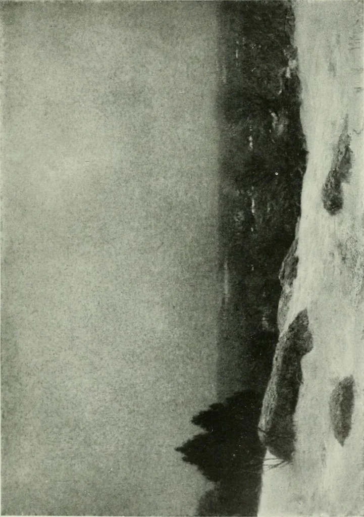 An illustration from International studio, 1897, leaf 126