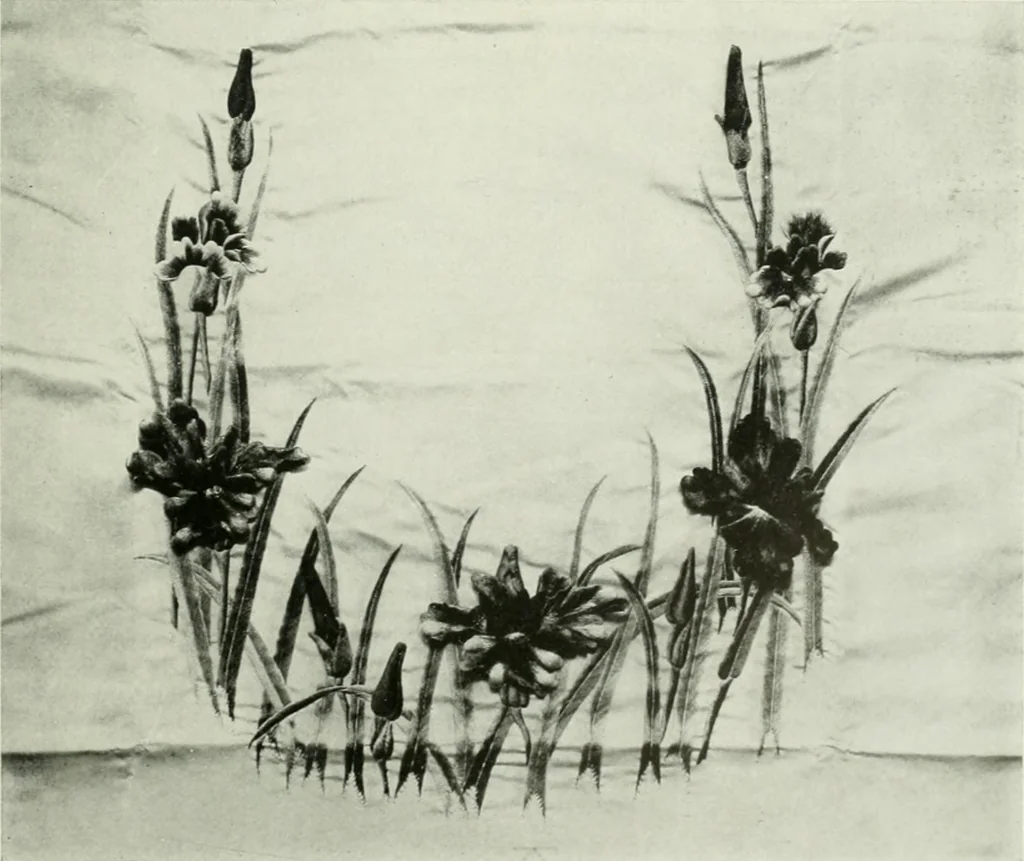An illustration from International studio, 1897, leaf 134