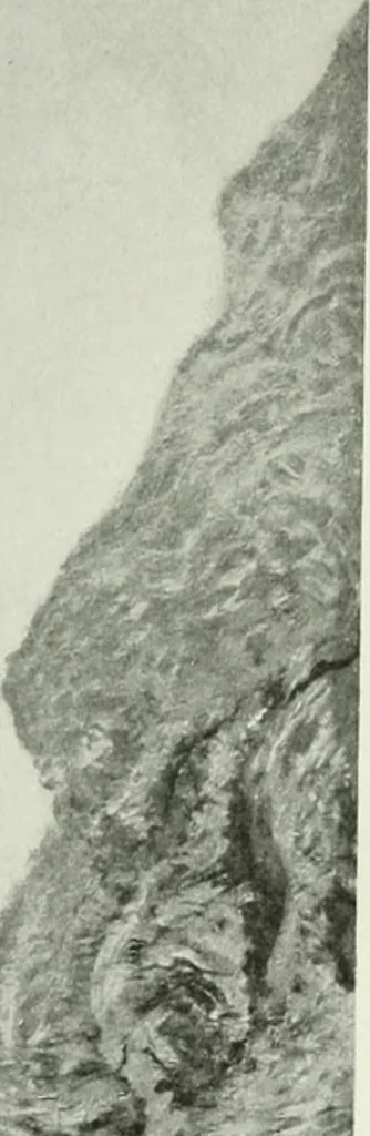 An illustration from International studio, 1897, leaf 154