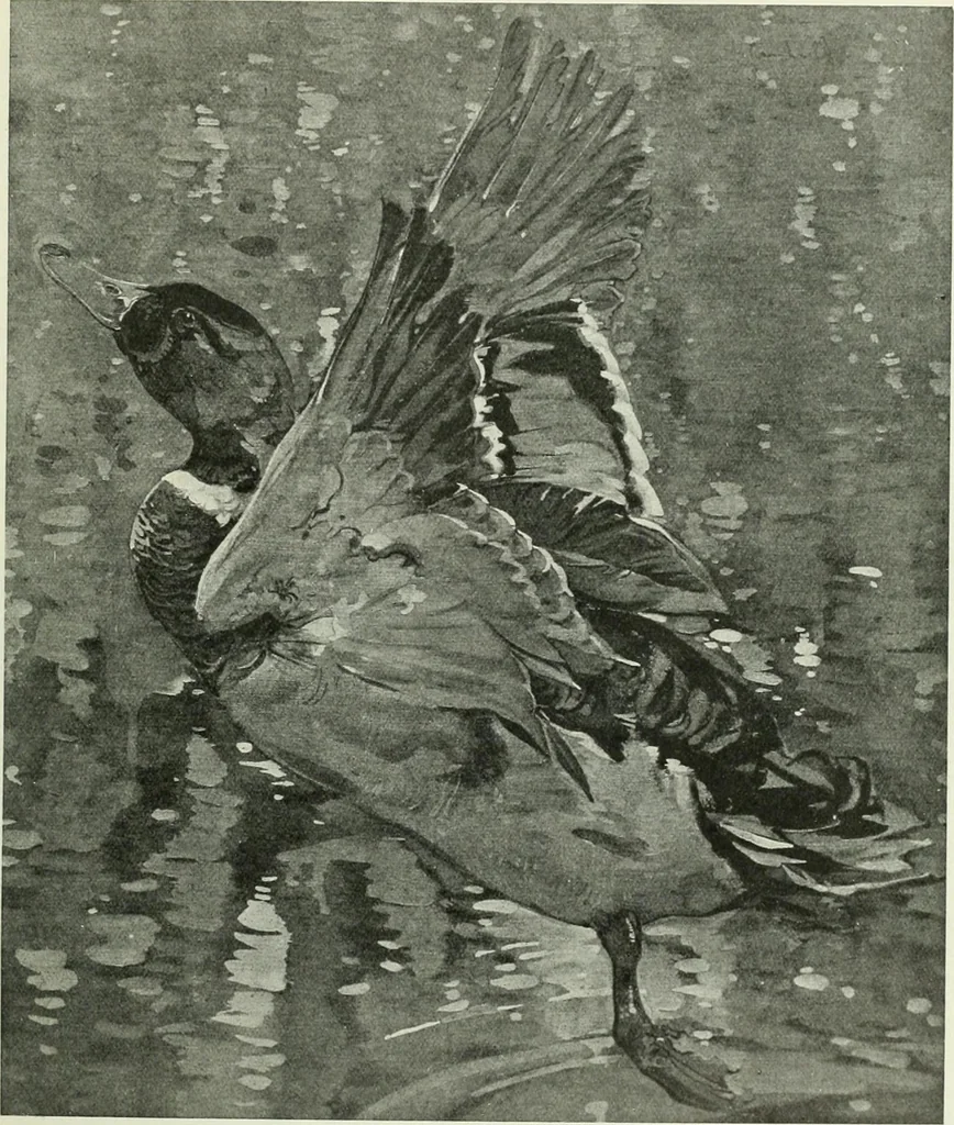 An illustration from International studio, 1897, leaf 194