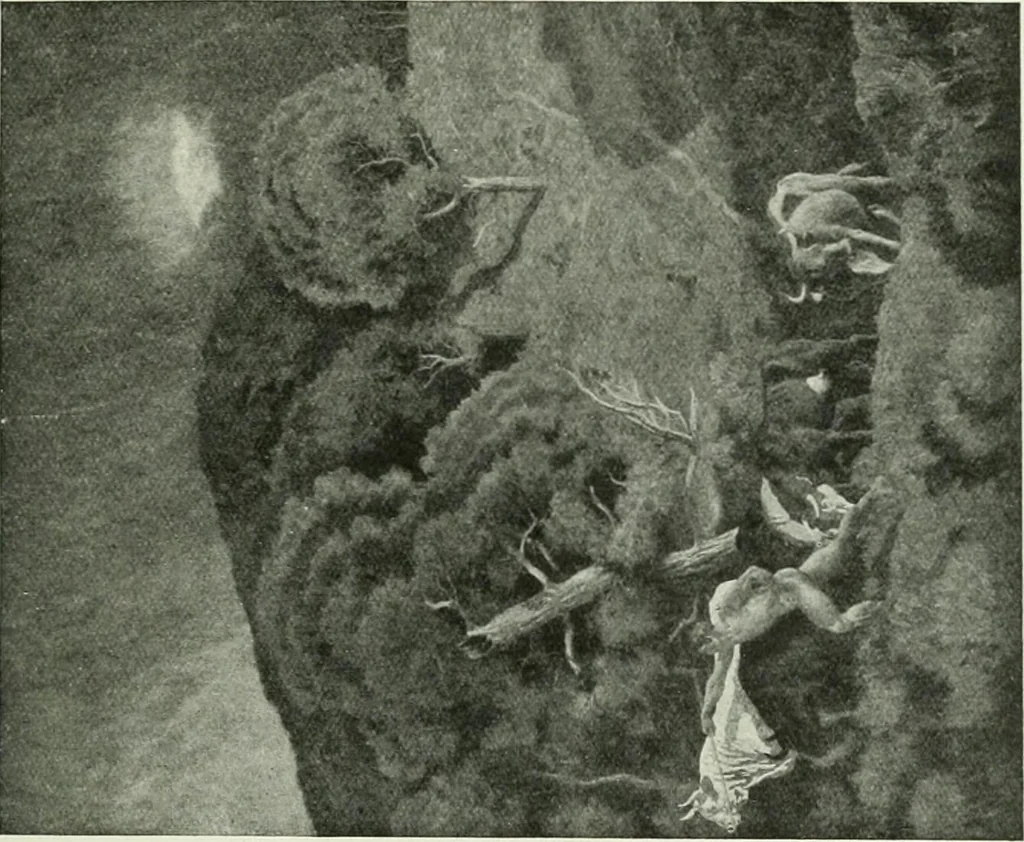 An illustration from International studio, 1897, leaf 264