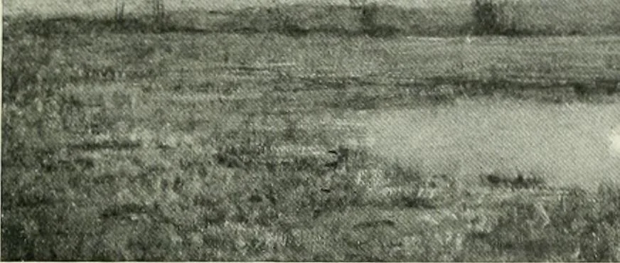 An illustration from International studio, 1897, leaf 330