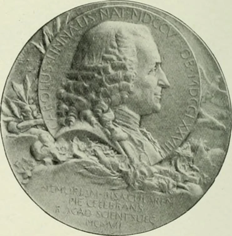 An illustration from International studio, 1897, leaf 331