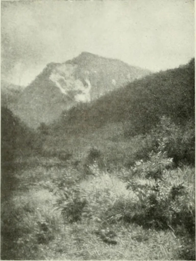 An illustration from International studio, 1897, leaf 391