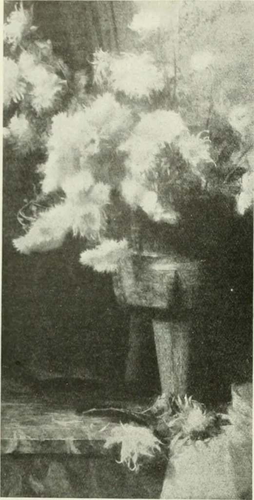 An illustration from International studio, 1897, leaf 393