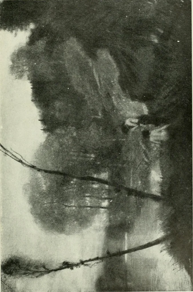 An illustration from International studio, 1897, leaf 400