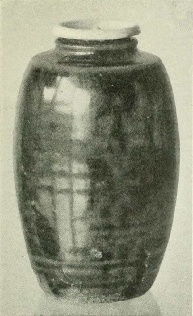 An illustration from International studio, 1897, leaf 66
