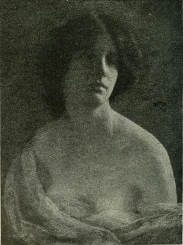 An illustration from International studio, 1897, leaf 89