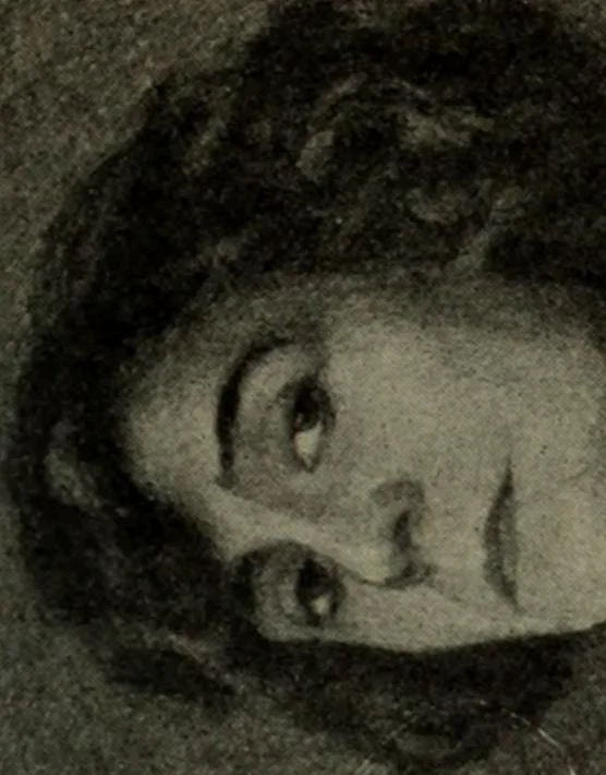 An illustration from International studio, 1897, leaf 196
