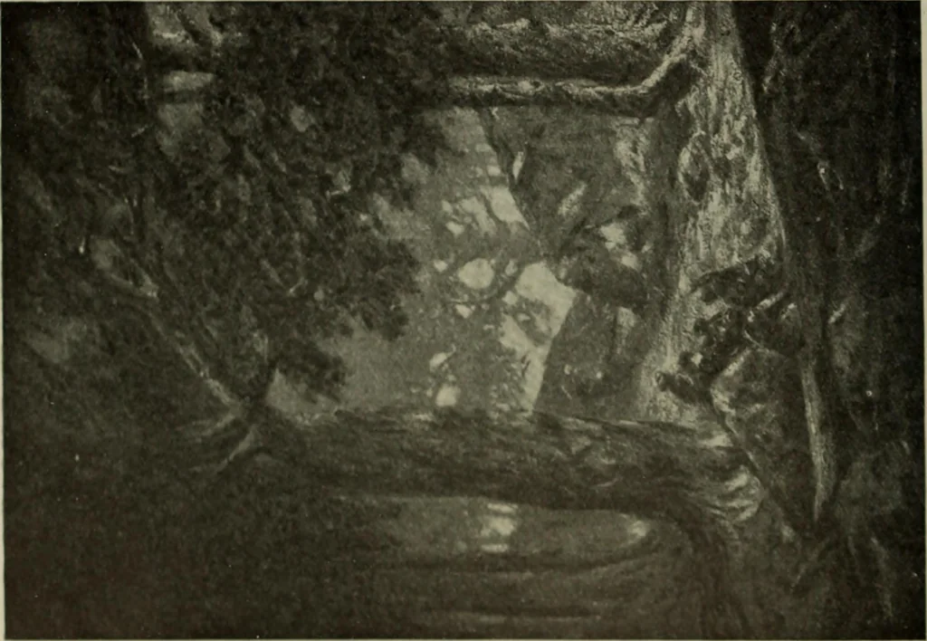 An illustration from International studio, 1897, leaf 211