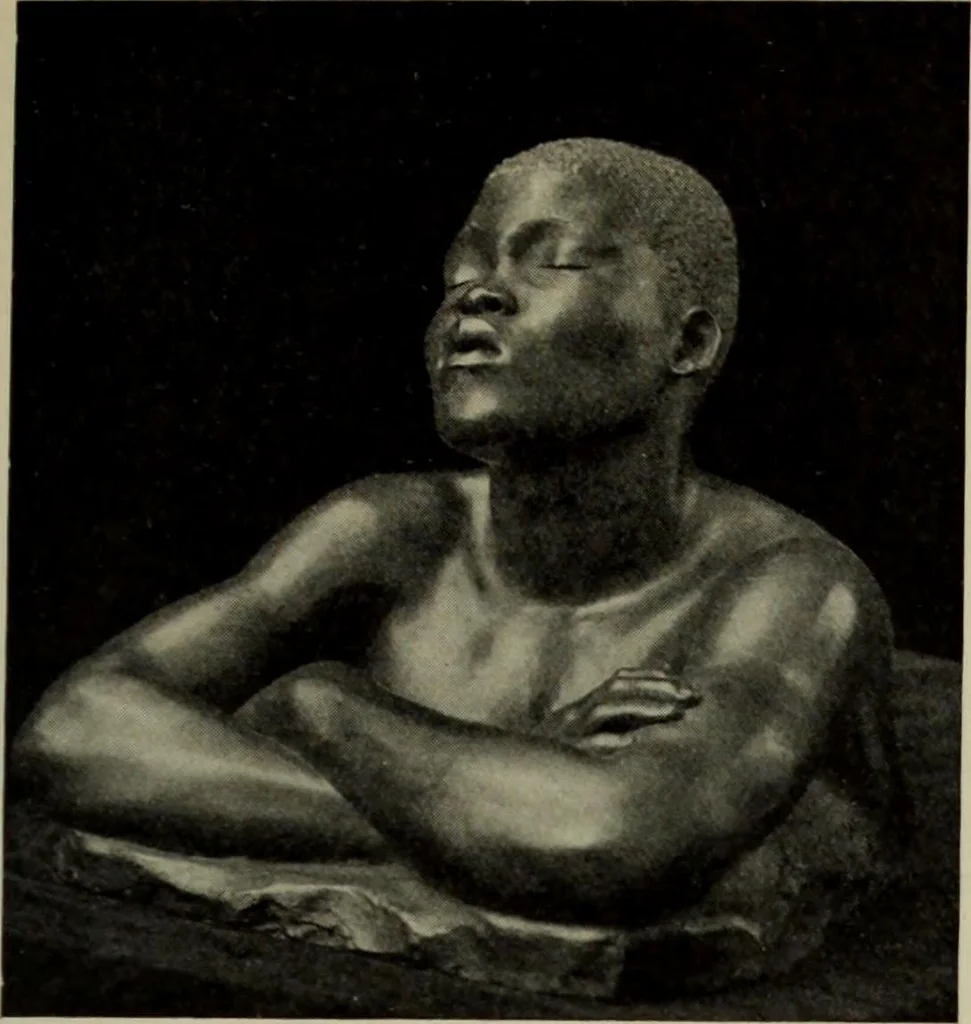 An illustration from International studio, 1897, leaf 214