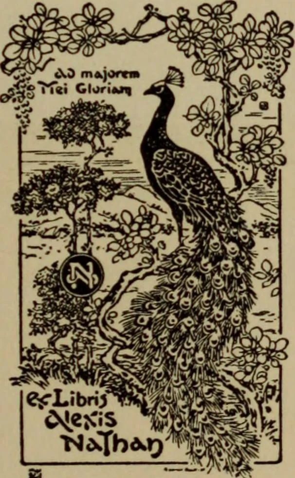An illustration from International studio, 1897, leaf 306