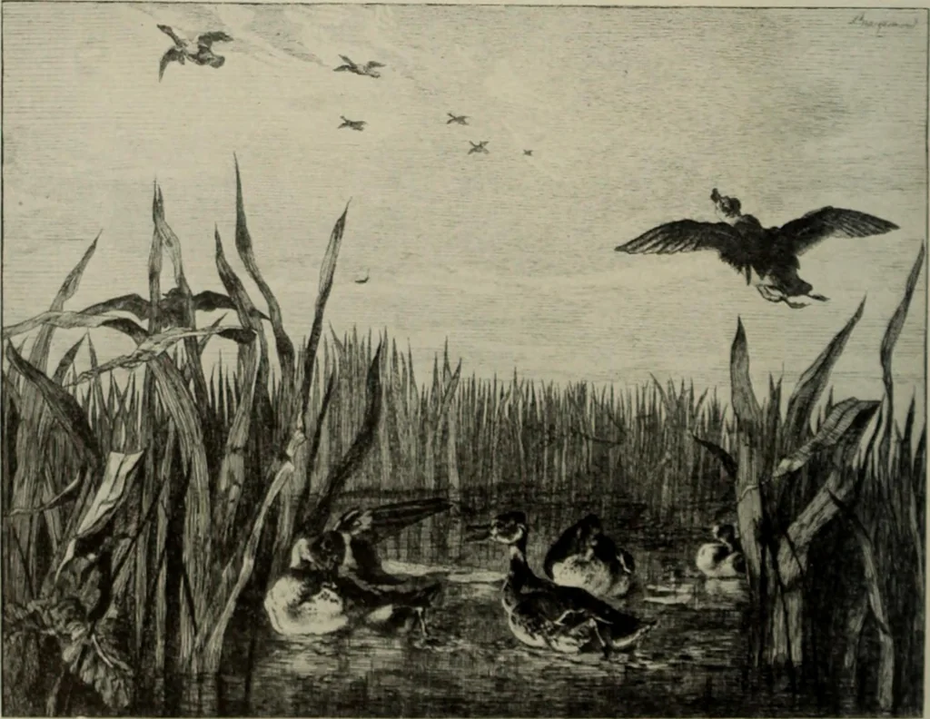 An illustration from International studio, 1897, leaf 343