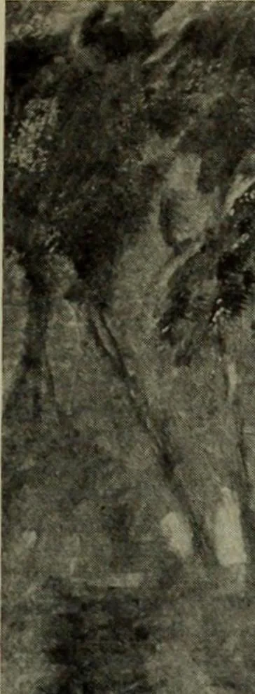 An illustration from International studio, 1897, leaf 142