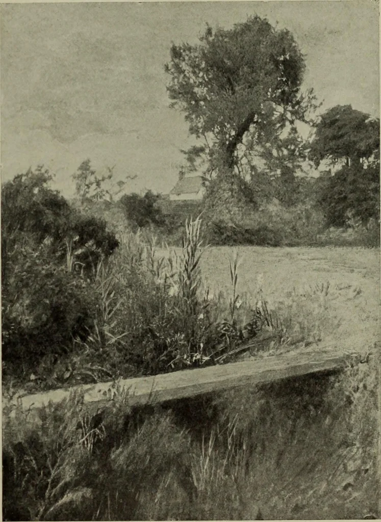 An illustration from International studio, 1897, leaf 146