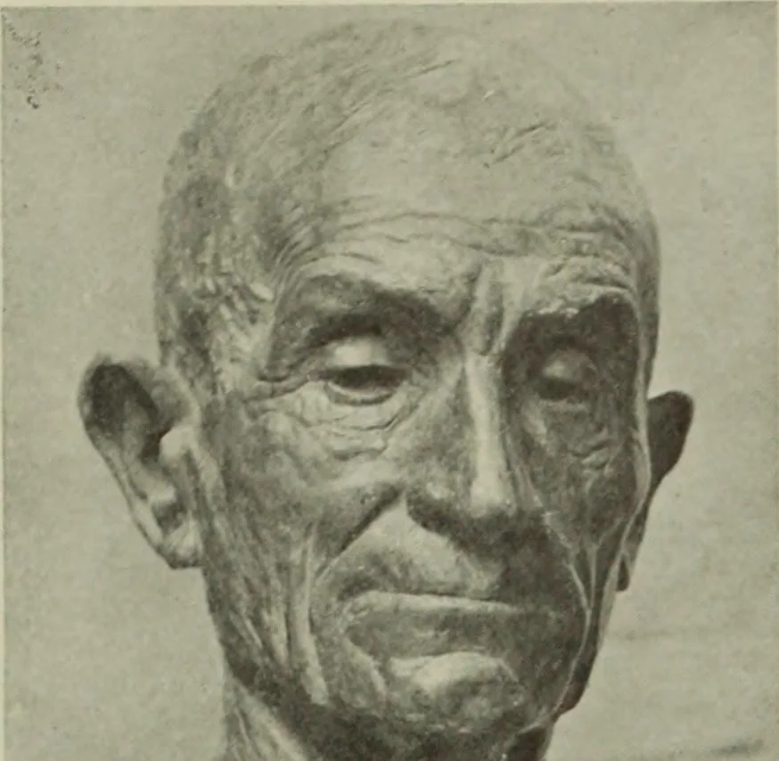 An illustration from International studio, 1897, leaf 149