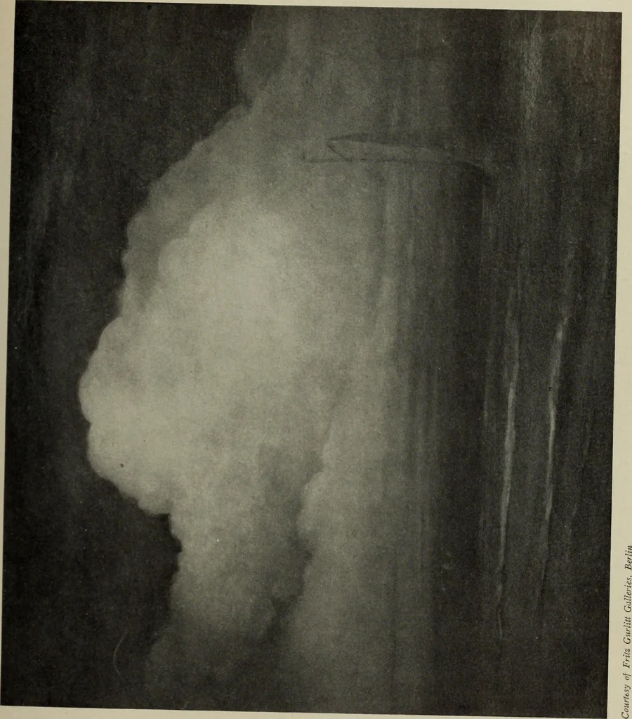 An illustration from International studio, 1897, leaf 242