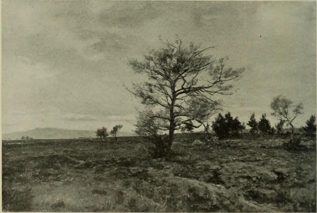 An illustration from International studio, 1897, leaf 251