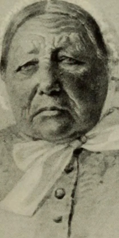 An illustration from International studio, 1897, leaf 288