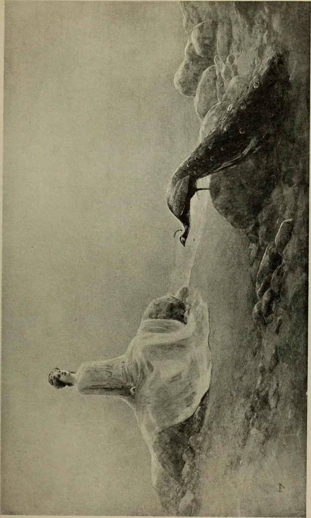 An illustration from International studio, 1897, leaf 310