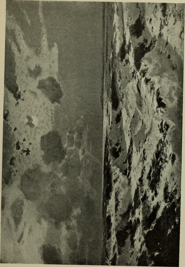 An illustration from International studio, 1897, leaf 376