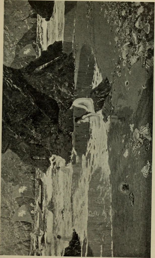 An illustration from International studio, 1897, leaf 378