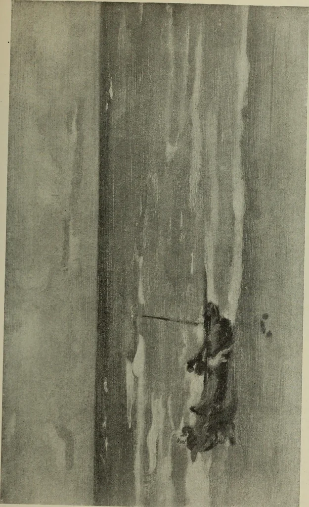 An illustration from International studio, 1897, leaf 44