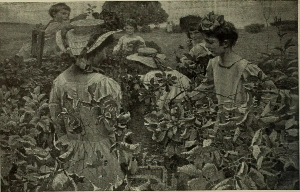 An illustration from International studio, 1897, leaf 451