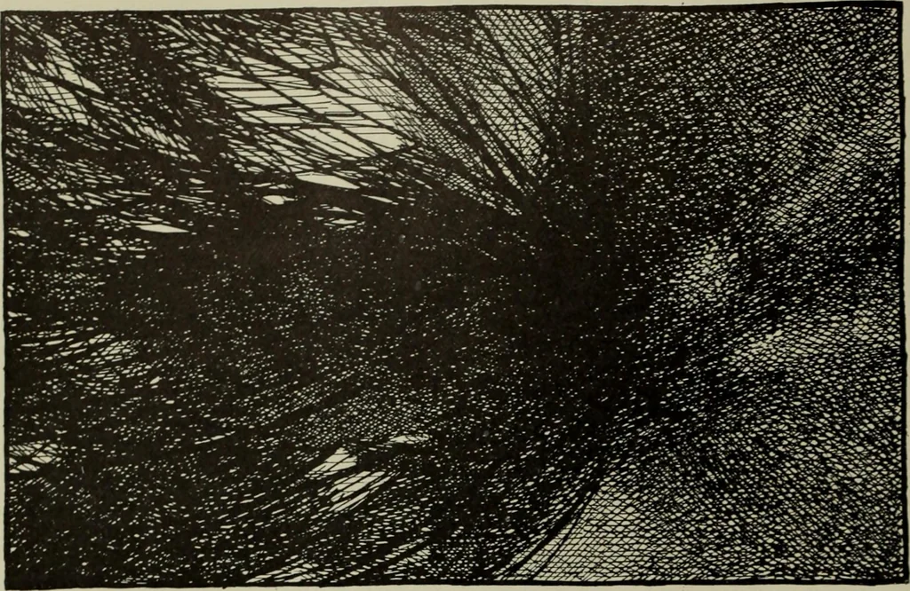 An illustration from International studio, 1897, leaf 99