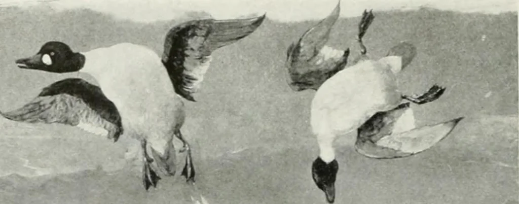 An illustration from International studio, 1897, leaf 125