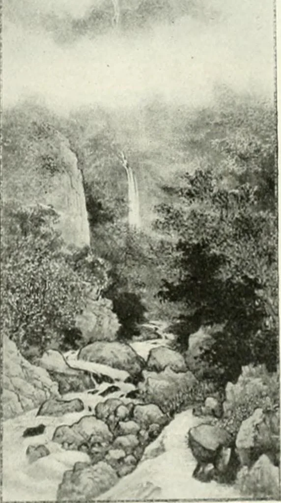 An illustration from International studio, 1897, leaf 153