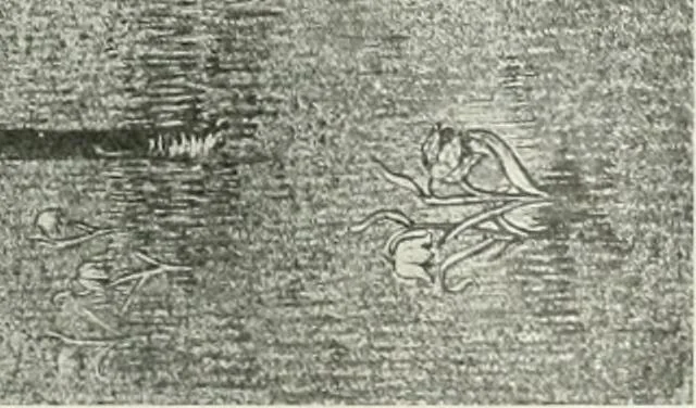 An illustration from International studio, 1897, leaf 168
