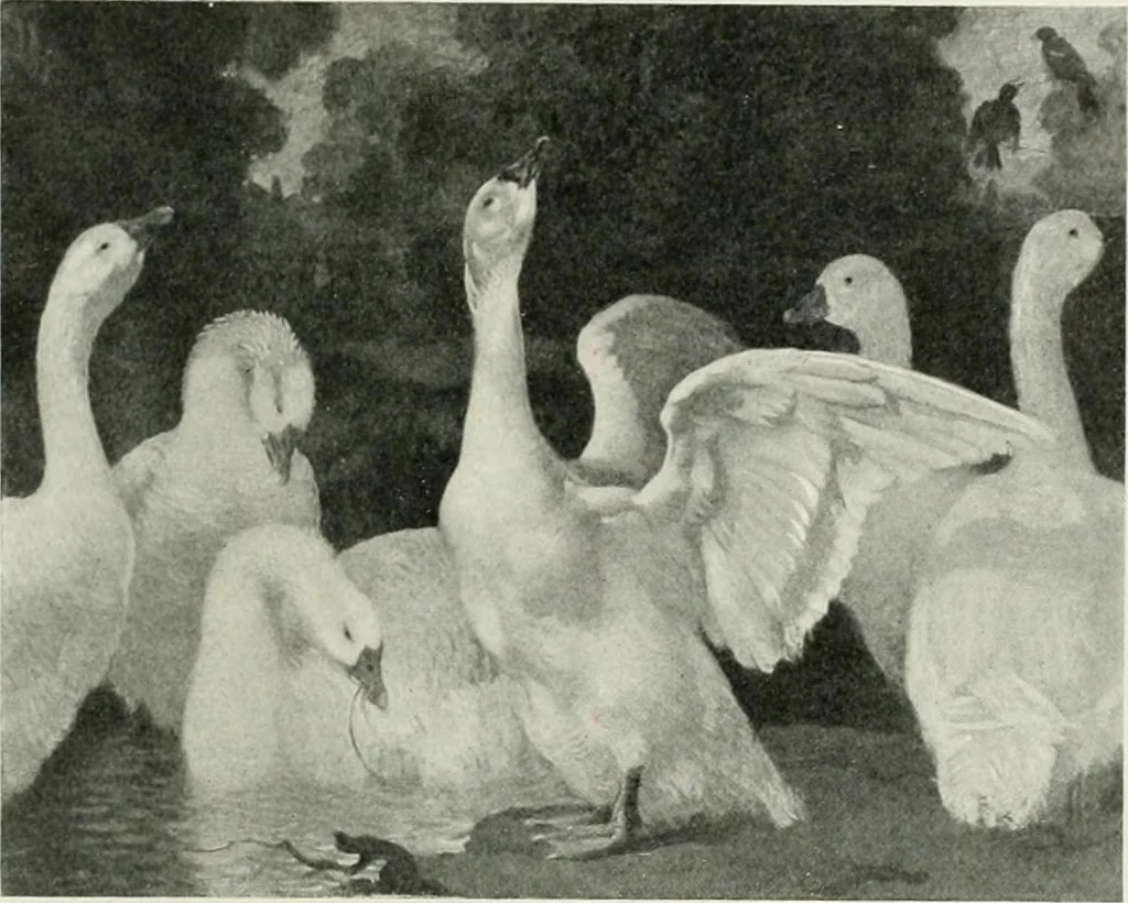 An illustration from International studio, 1897, leaf 221