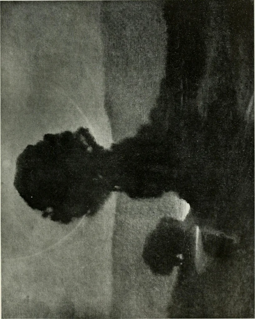 An illustration from International studio, 1897, leaf 231