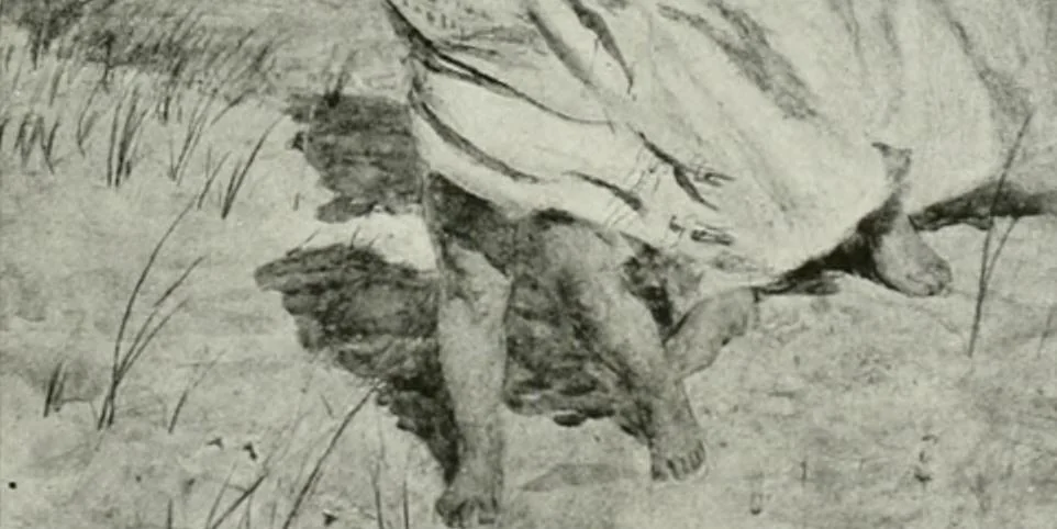 An illustration from International studio, 1897, leaf 253