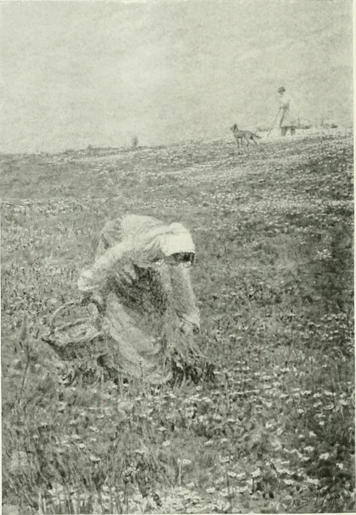 An illustration from International studio, 1897, leaf 254