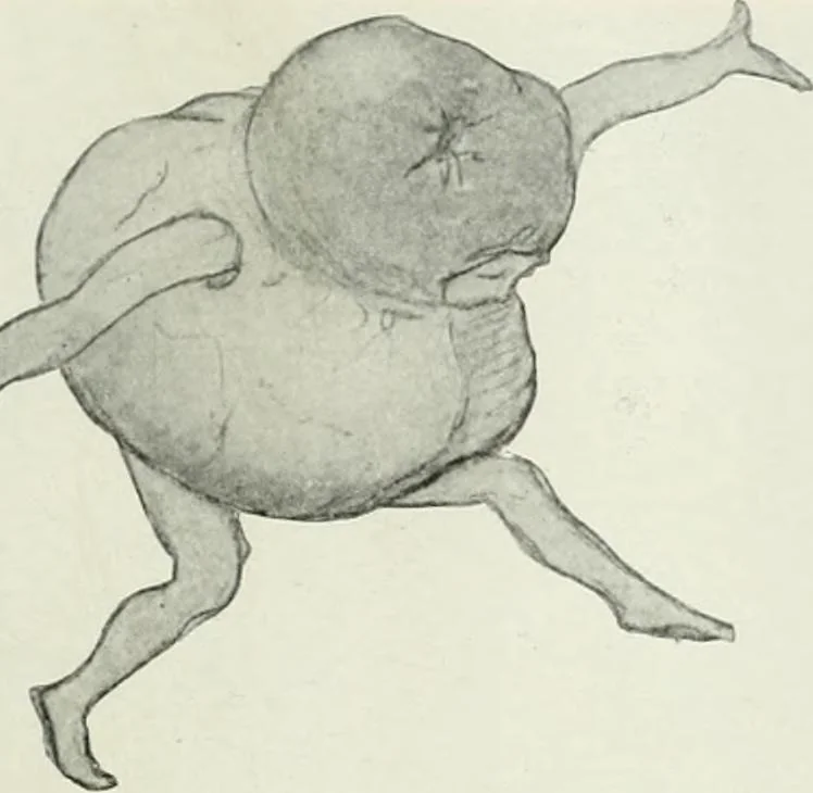 An illustration from International studio, 1897, leaf 295