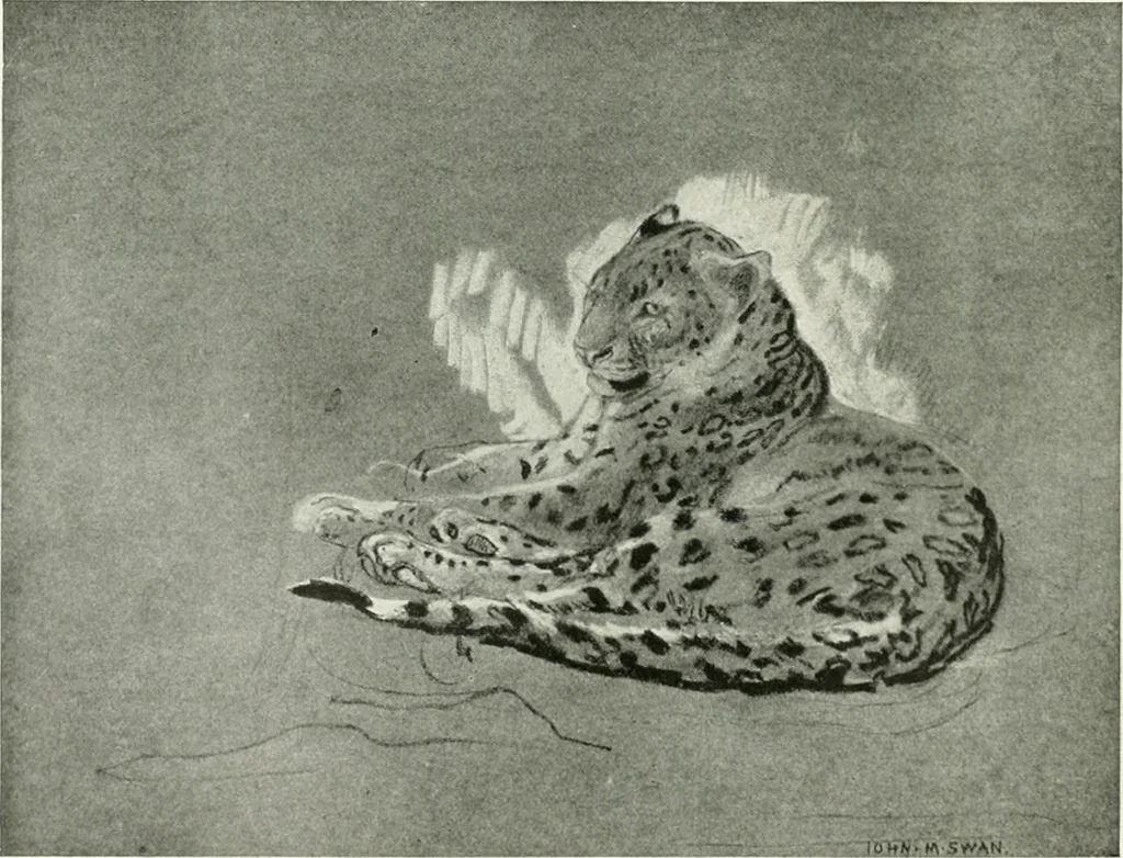 An illustration from International studio, 1897, leaf 302
