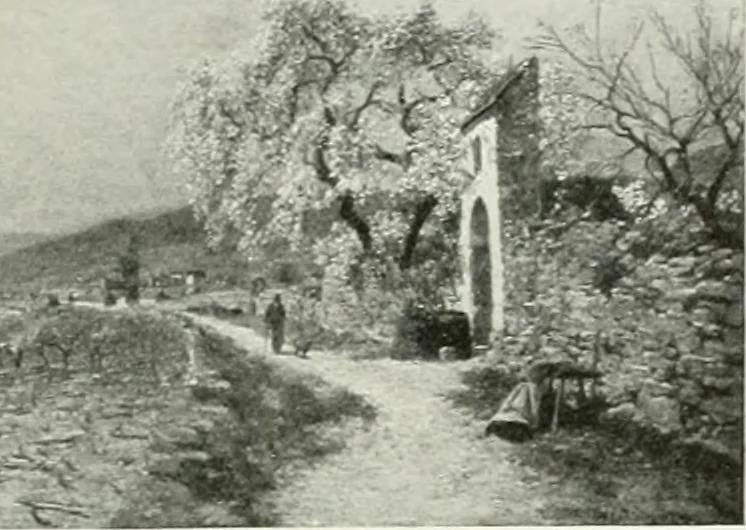 An illustration from International studio, 1897, leaf 317