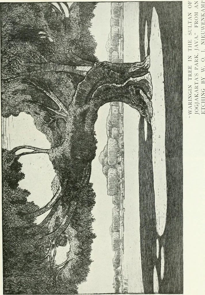 An illustration from International studio, 1897, leaf 323