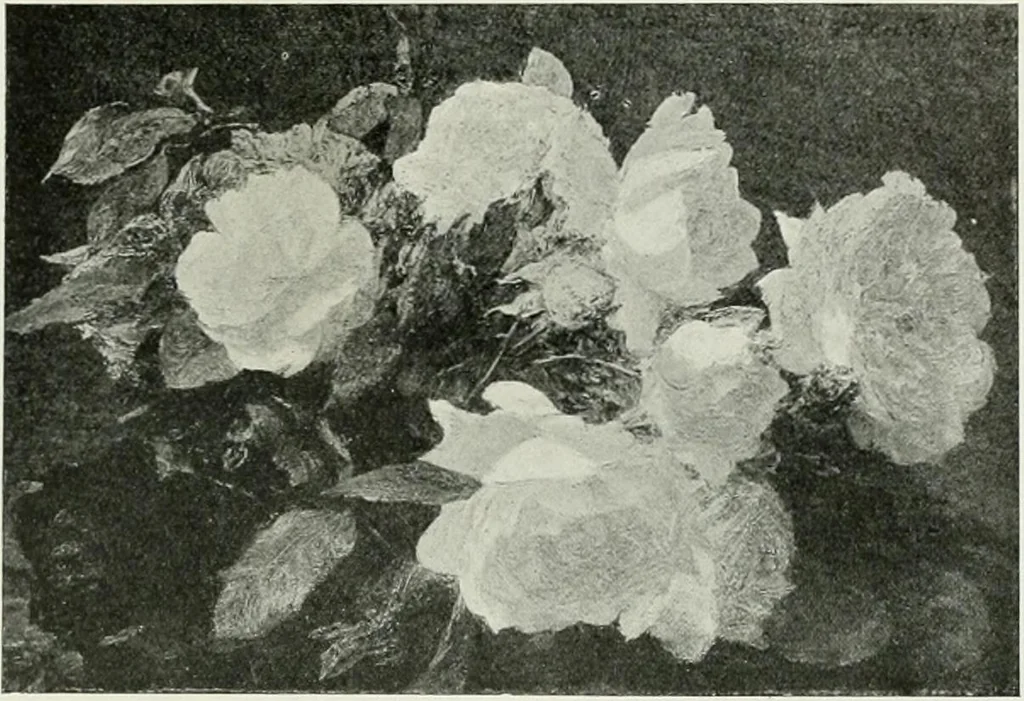An illustration from International studio, 1897, leaf 415