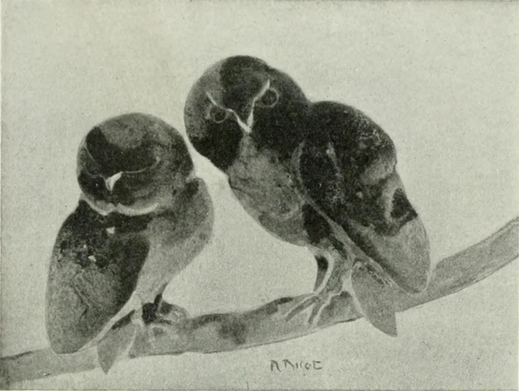 An illustration from International studio, 1897, leaf 423