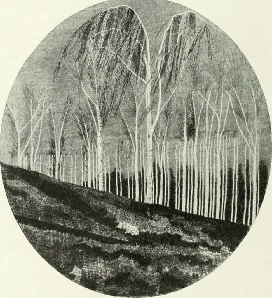 An illustration from International studio, 1897, leaf 424
