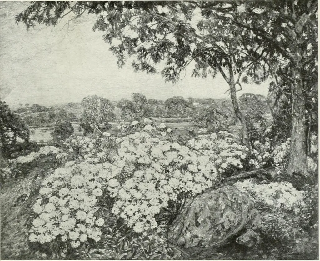 An illustration from International studio, 1897, leaf 447