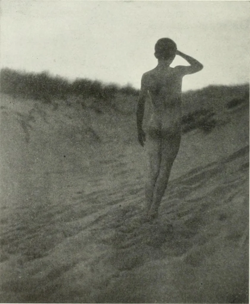 An illustration from International studio, 1897, leaf 458