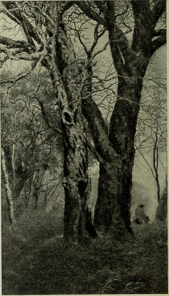 An illustration from International studio, 1897, leaf 165