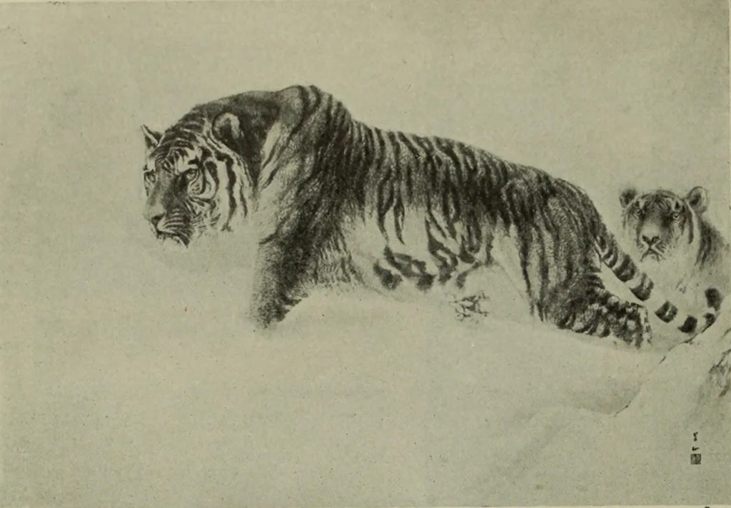 An illustration from International studio, 1897, leaf 169