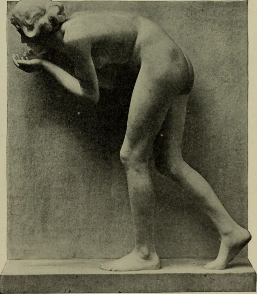 An illustration from International studio, 1897, leaf 206