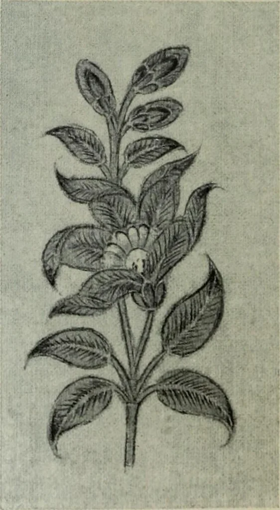 An illustration from International studio, 1897, leaf 275